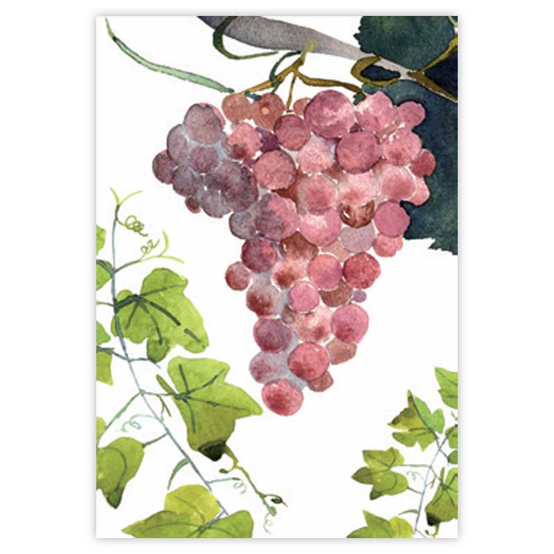 secador grapes 2 - La Bottega di Casa