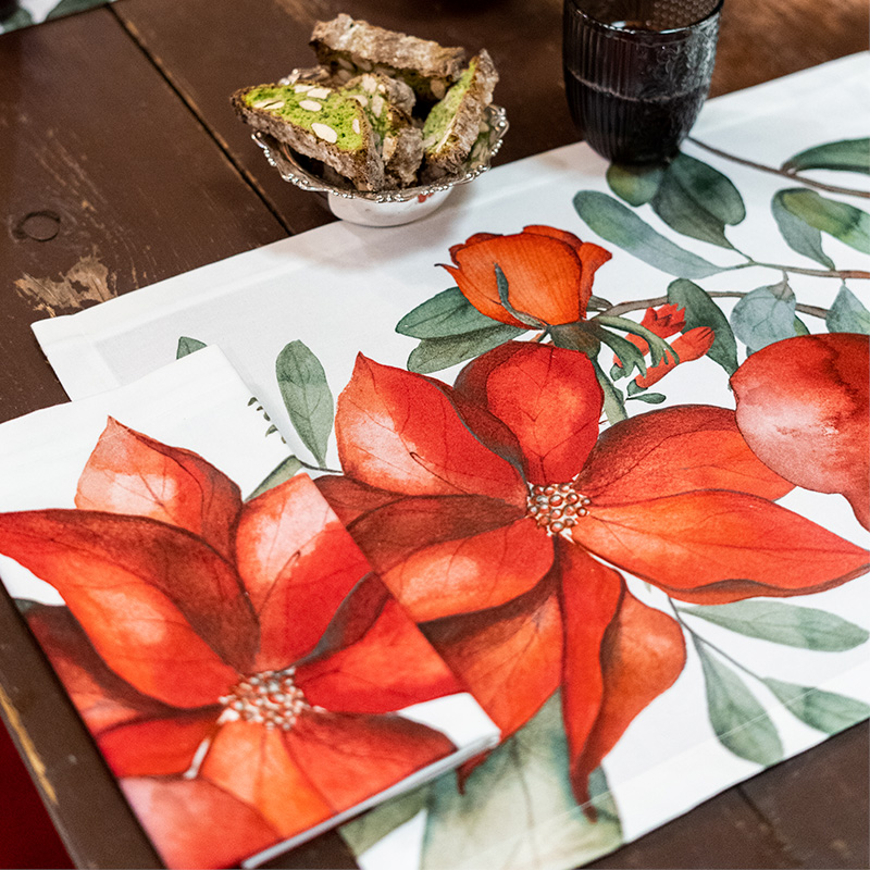 stain-resistant-cotton-placemtas