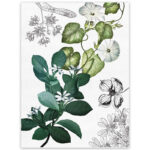 Tea Towel Knighthia 2