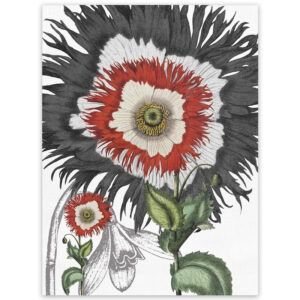 Tea Towel Papavero 2