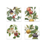Set of 4 Napkins Fruit Love