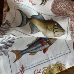 Table Runner Coral Bay