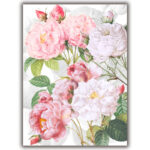 Tea Towel Roses 1