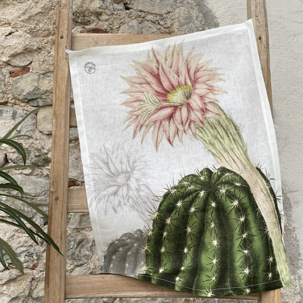 buying flower seeds online Buy Best Quality Stocks Mixed Color Flower Seeds Online
