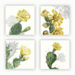 4 linen napkins with pricly pears designs
