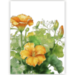 Tea Towel with Squash Blossoms designs