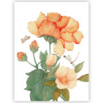 Tea Towel Peony 2