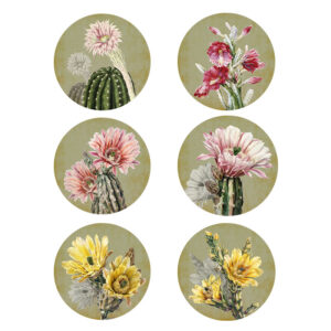 Rigid Charger Plates Cactus