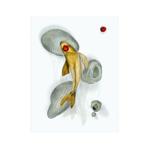 Linen and cotton kitchen towel with a Japanese ink wash illustration of a single large golden koi carp among grey river stones on an ivory white ground. Red mark on the fish's snout, red seal top right